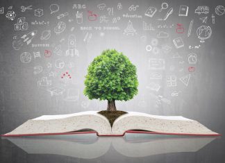 sustainability degree