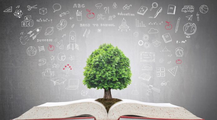 Reasons to Study a Masters in Sustainability sustainability degree