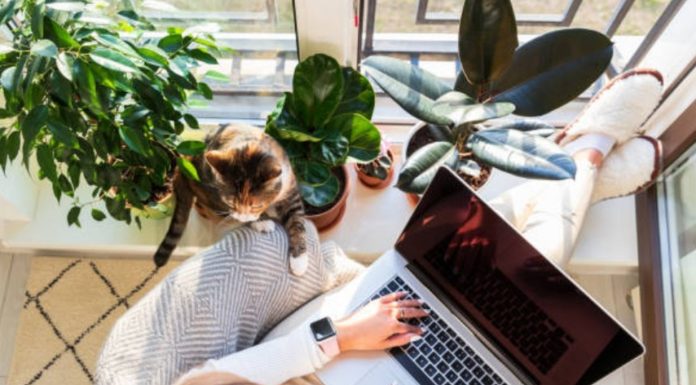 Work from Anywhere: Major Global Companies Are Successfully Embracing Remote Work remote work