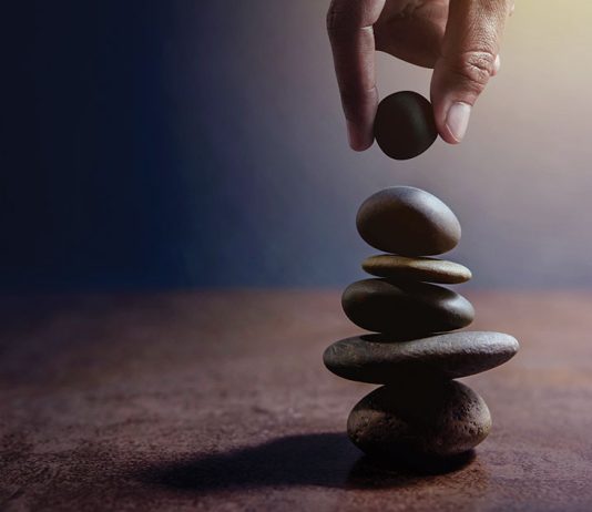 Am I Being My Best Self? Building Your Emotional Intelligence at Work – It’s a Balancing Act Balancing Act