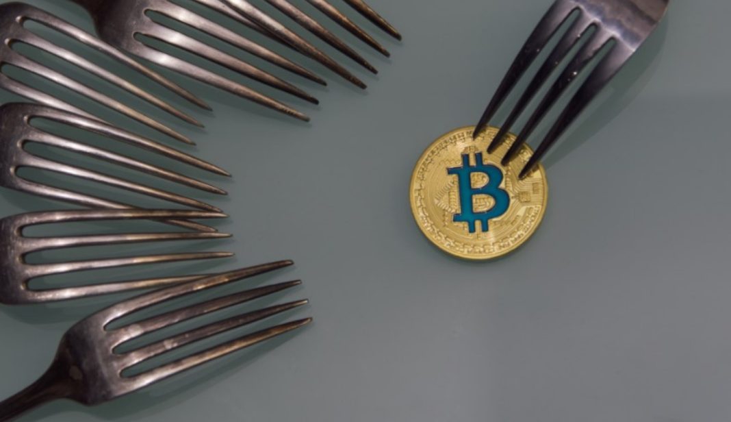 Crypto Hard Fork and Soft Fork What Is the Difference? The European