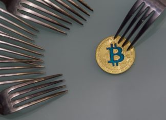 Crypto Hard Fork and Soft Fork – What Is the Difference? Crypto Hard Fork and Soft Fork