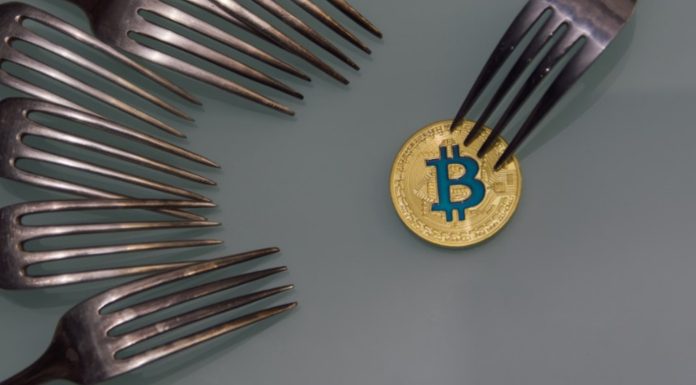 Crypto Hard Fork and Soft Fork