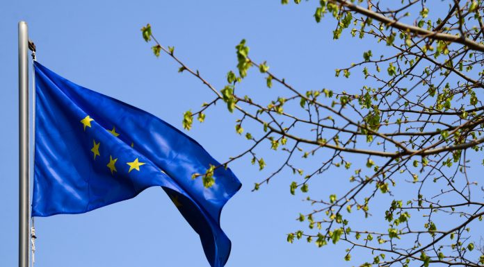 2022 in Review, Plus a Year into the Future – Malta vs. the European Union European Union