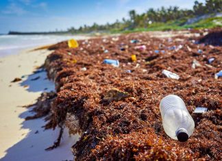 Waste-crisis
