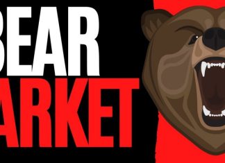 How to Survive A Crypto Bear Market? bear market