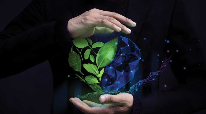 leadership environmental change