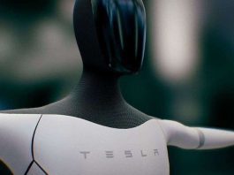 Tesla Bot