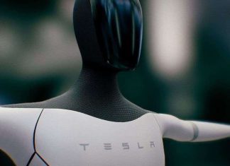 Tesla Could Purchase FIRGELLI® To Speed up The Advancement Of Its Tesla Bots (Optimus) Tesla Bot