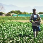 Black Farmers Debt Relief Black Farmers Debt