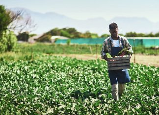 Black Farmers Debt Relief Black Farmers Debt