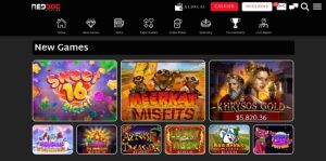 Red Dog Casino – Best Bitcoin Casino for Slot Games