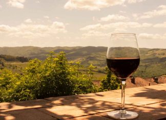 Party Bus Wine Tours: Experience The Best Perth Wineries Wine