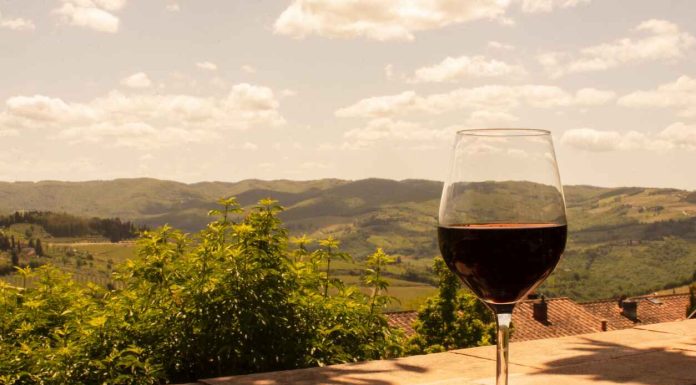 Party Bus Wine Tours: Experience The Best Perth Wineries Wine