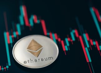 Which Cryptocurrencies Have the Potential to Compete with Ethereum? ethereum