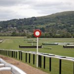 What Races Will Willie Mullins Win at the 2023 Cheltenham Festival? 2023 Cheltenham Festival