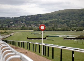 What Races Will Willie Mullins Win at the 2023 Cheltenham Festival? 2023 Cheltenham Festival