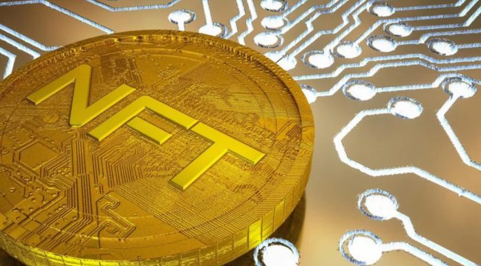 4 Important Facts That You Should Know About NFT