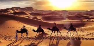 Desert Safari in Dubai