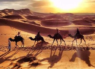 How to Enjoy the Thrill of a Desert Safari in Dubai Desert Safari in Dubai