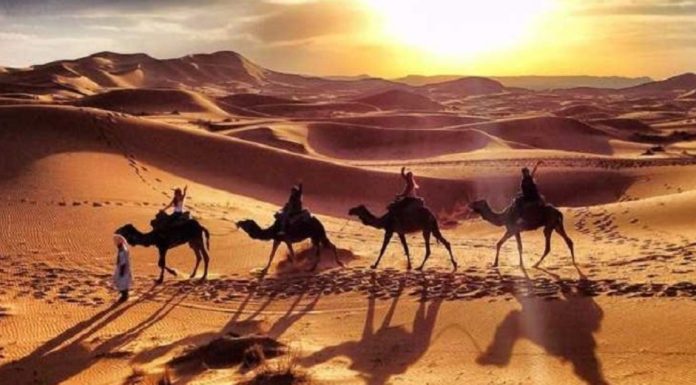 Desert Safari in Dubai