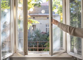 Here are the Top 5 Ways to Get Clean Air Without Harmful Chemicals Get Clean Air Without Harmful Chemicals
