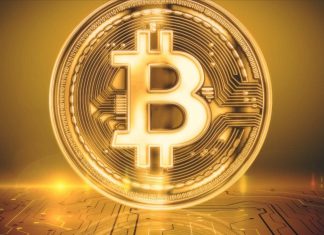 Which are Some of the Popular Cryptocurrencies? Popular Cryptocurrencies