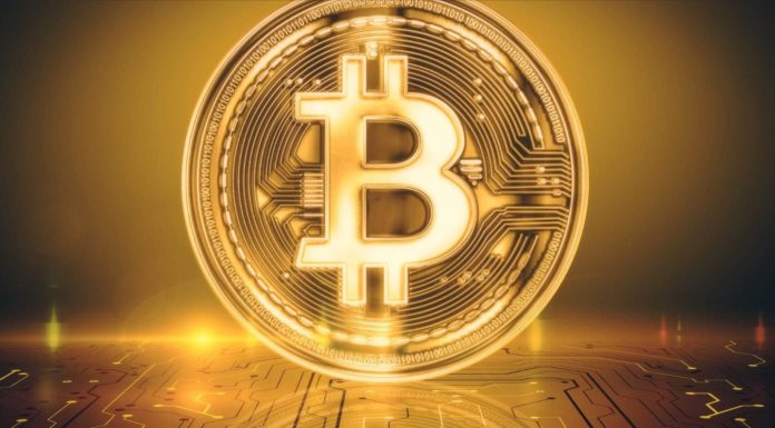 Popular Cryptocurrencies