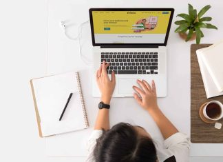What Does a Product Designer Do and Why is it Important to Order Services From a Product Design Agency to Create a High-Quality, Modern Project? Product Designer