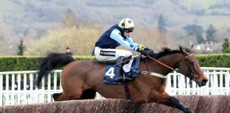 Three Nicky Henderson