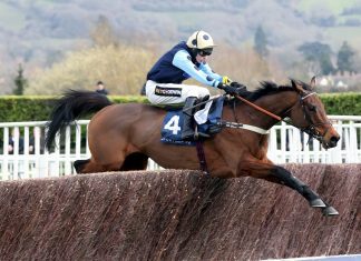 Three Nicky Henderson-Trained Horses to Keep an Eye on at the Cheltenham Festival Three Nicky Henderson