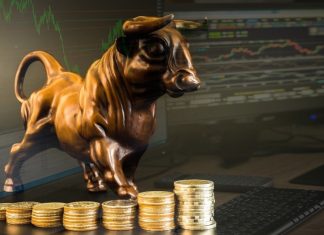 TradinBull Review – Best Brokerage for Stable Trading TradinBull Review