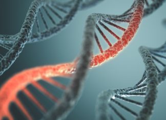 What mRNA Is and Everything It Entails mRNA