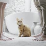 10 Hidden Advantages of Ending a Marriage That Society Doesn't Discus