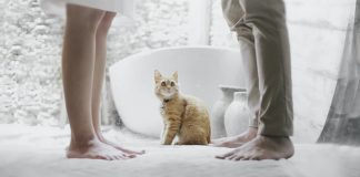 10 Hidden Advantages of Ending a Marriage That Society Doesn't Discus