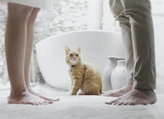 10 Hidden Advantages of Ending a Marriage That Society Doesn't Discus