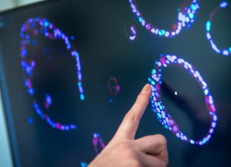 A Review: AI and Computer Vision in Ovarian Cancer Detection (2023) AI and Computer Vision in Ovarian Cancer Detection