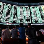 Build a Successful Sportsbook Business