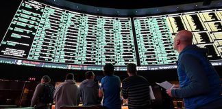 Build a Successful Sportsbook Business