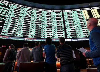 Build a Successful Sportsbook Business