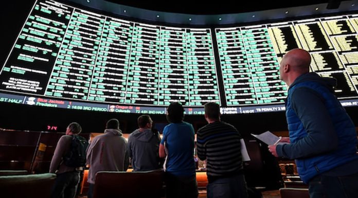 How To Build a Successful Sportsbook Business Build a Successful Sportsbook Business