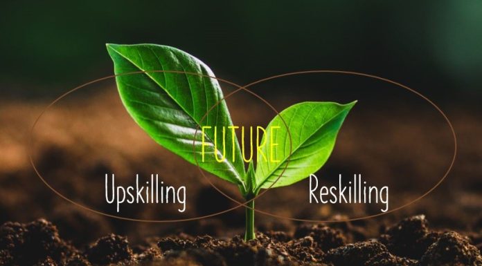 Interview with Ford Garrard, Visuna CEO: Reskilling for a Greener Future Reskilling for a Greener Future