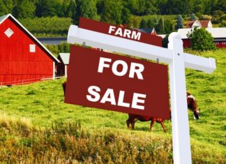 The Hidden Costs of Buying Farms for Sale: What You Need to Know. farm