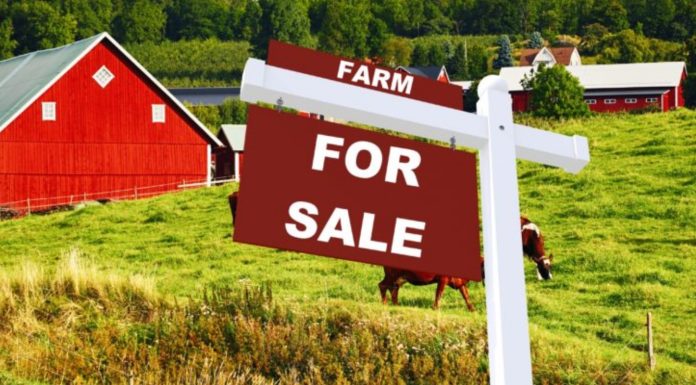 The Hidden Costs of Buying Farms for Sale: What You Need to Know. farm