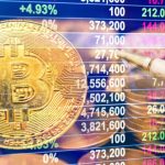 Advantages and Disadvantages of the Crypto Index Fund