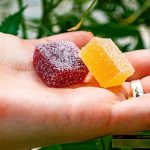 Best Delta 9 Gummies to Chill Out and Relax in 2023 Best Delta 8 Gummies to Chill Out and Relax in 2023