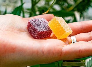 Best Delta 9 Gummies to Chill Out and Relax in 2023 Best Delta 8 Gummies to Chill Out and Relax in 2023