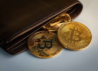 What is BlueWallet Crypto Wallet and Its Advantages and Disadvantages? Bitcoin wallet