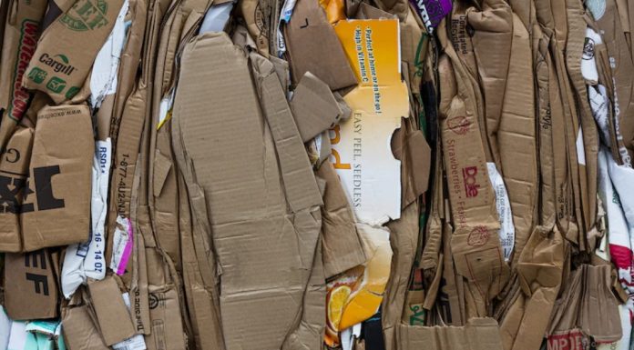 Cardboard Recycling How Businesses Can Make a Difference on the Planet