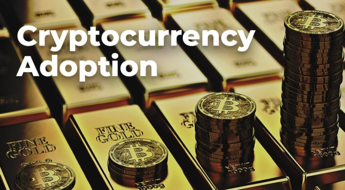 Cryptocurrency Adoption